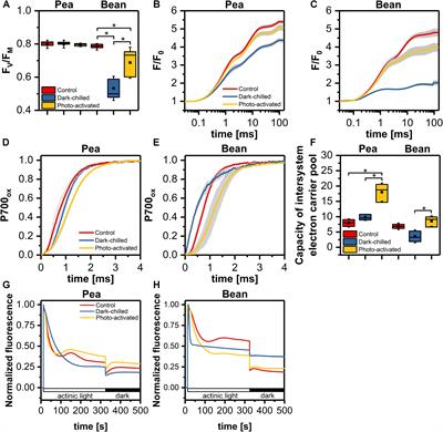 Specific Composition of Lipid Phases Allows Retaining an Optimal Thylakoid Membrane Fluidity in Plant Response to Low-Temperature Treatment